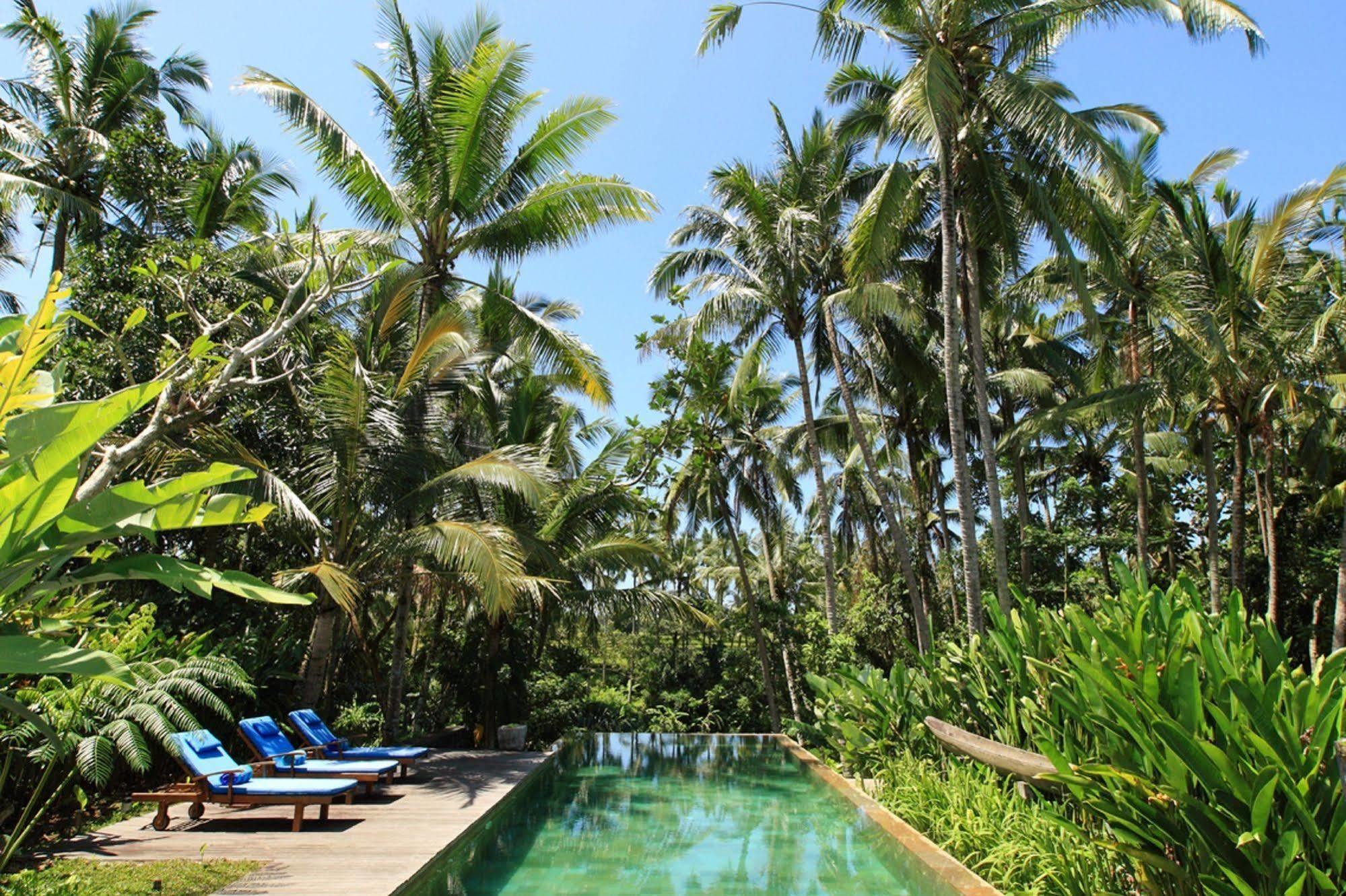 Casa Priya Ubud Екстериор снимка